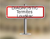 Diagnostic Termite ASE à